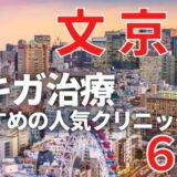 文京区でワキガ治療が人気で安いおすすめクリニック6選ランキング！切らない,保険適用,上手い