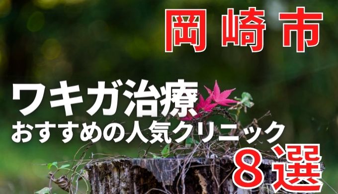 岡崎市でワキガ治療が人気で安いおすすめクリニック8選ランキング！切らない,保険適用,上手い